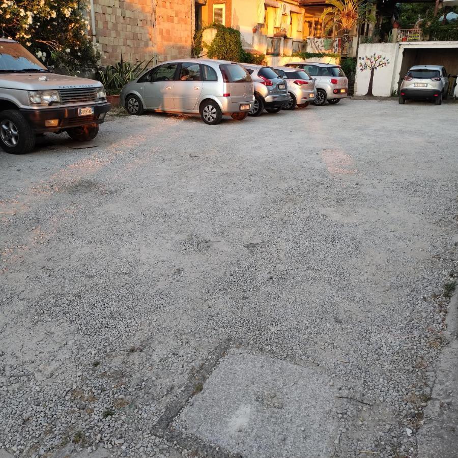 פיצו B&B Domus Piedigrotta מראה חיצוני תמונה